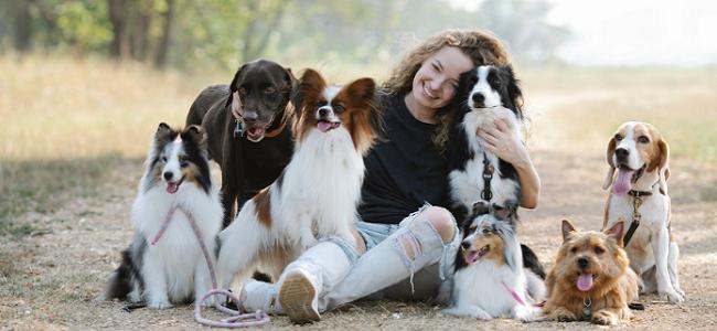 Veterinarias en Rafaela